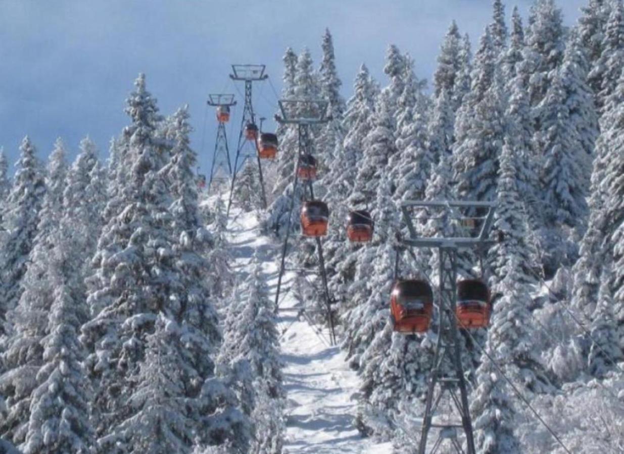 Borovets Gardens Apartment A27 Kültér fotó